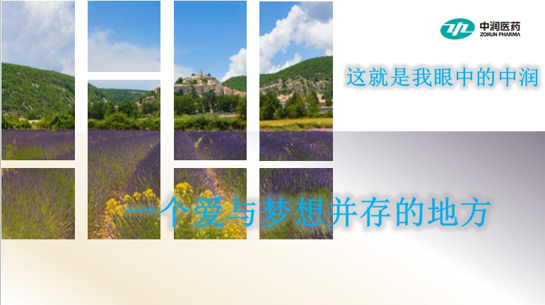 新澳网2024官方网站