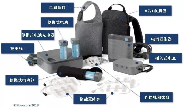 新澳网2024官方网站
