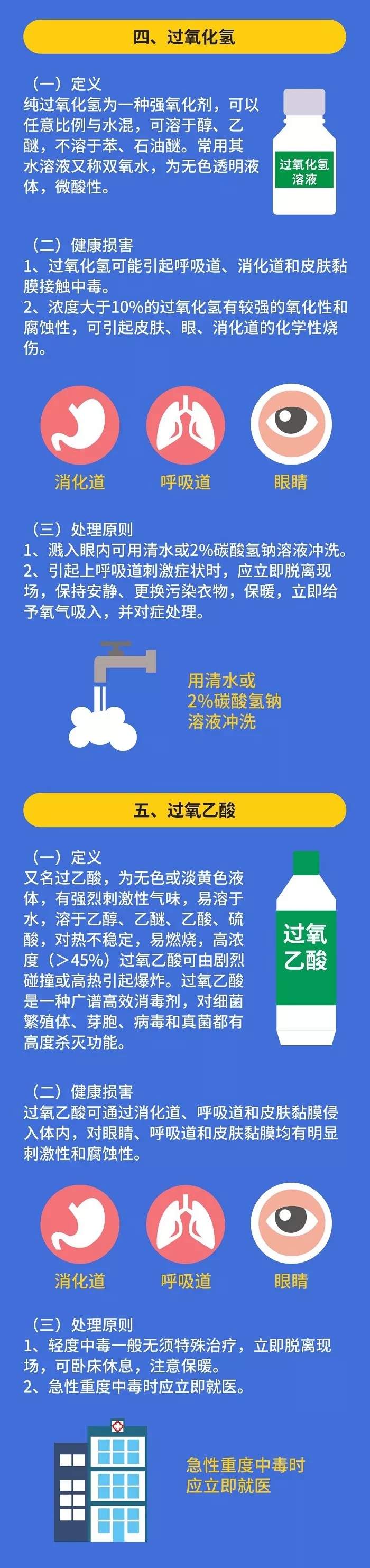 新澳网2024官方网站